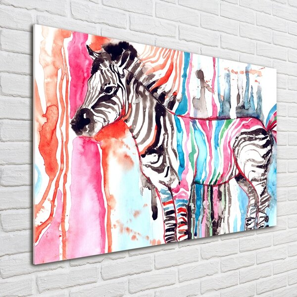 Fotoobraz na skle Barevná zebra osh-87232366