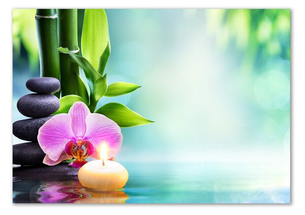 Foto obraz fotografie na skle Orchidej bambus osh-87258521
