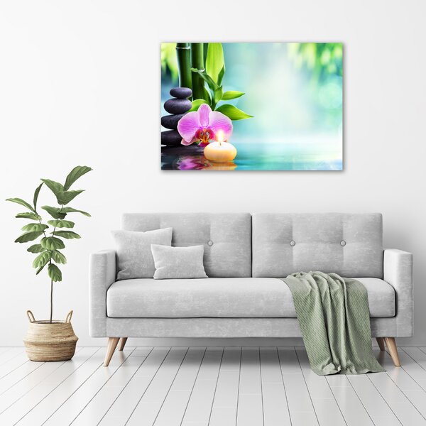 Foto obraz na plátně Orchidej bambus oc-87258521