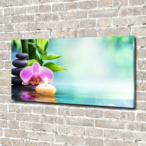 Foto obraz fotografie na skle Orchidej bambus osh-87258521