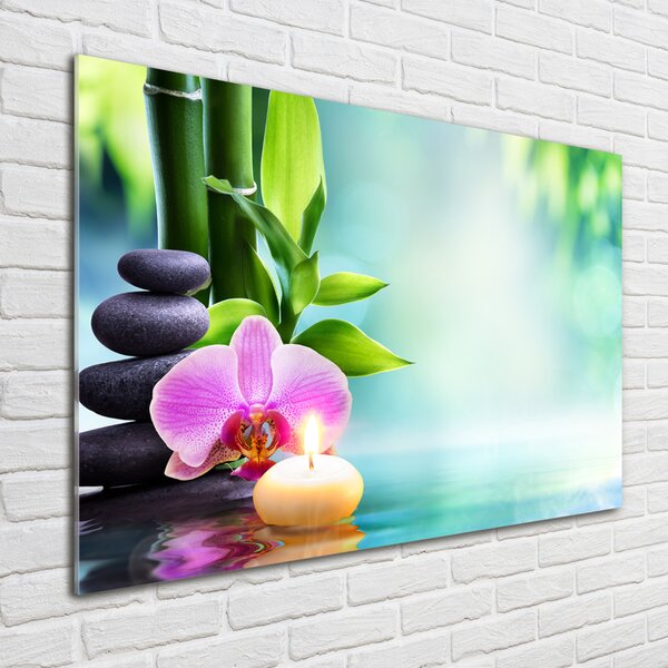 Foto obraz fotografie na skle Orchidej bambus osh-87258521