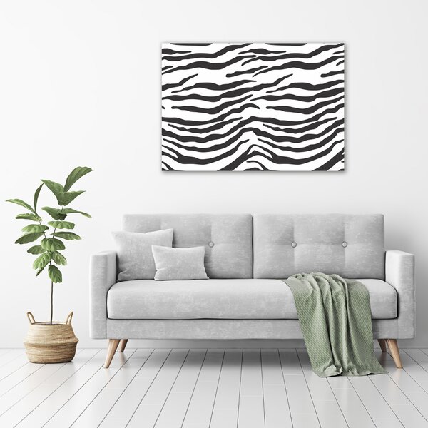 Foto obraz na plátně Zebra pozadí oc-87477290