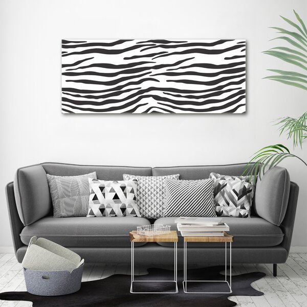 Foto obraz na plátně Zebra pozadí oc-87477290
