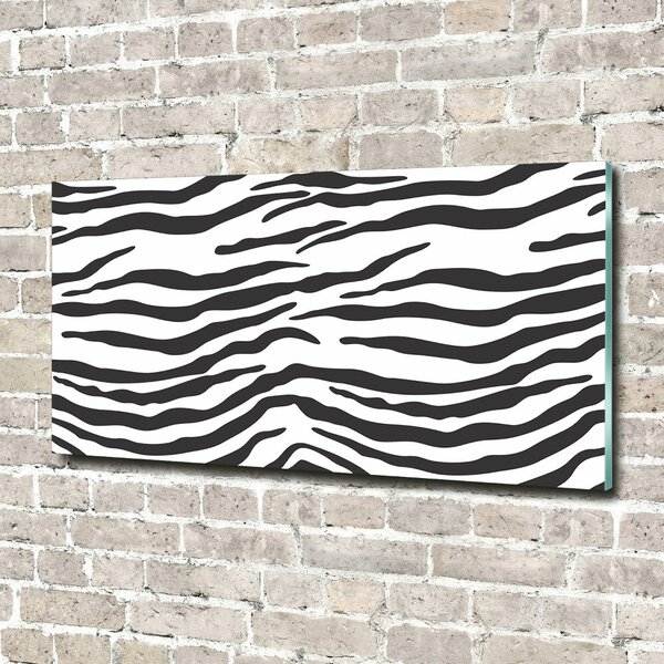 Fotoobraz na skle Zebra pozadí osh-87477290