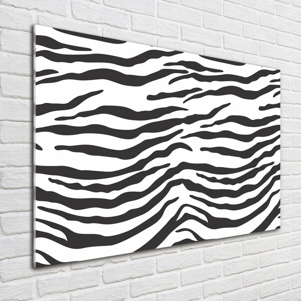 Fotoobraz na skle Zebra pozadí osh-87477290