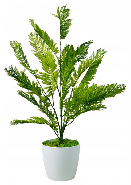 Umělá květina v květináči Kapradí Kapradí v květináči 75 cm Umělé Květy