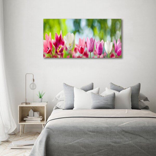 Fotoobraz na skle Tulipány osh-88763928