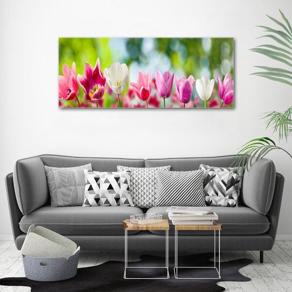 Foto obraz na plátně Tulipány oc-88763928