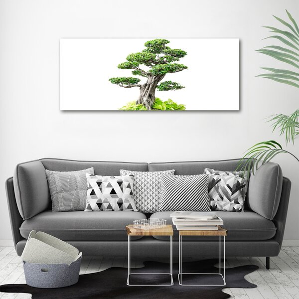 Foto obraz na plátně do obýváku Bonsai oc-88907159
