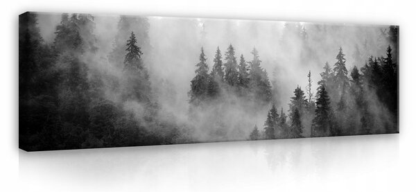 Obraz na plátně LESA V MLZE ČERNOBÍLÝ 145x45