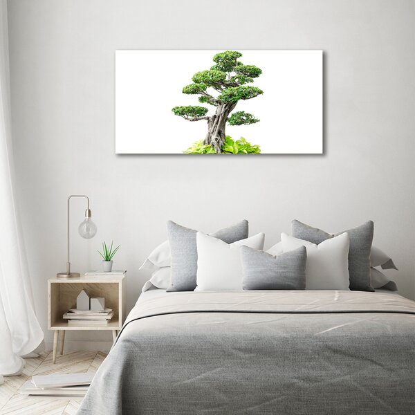 Foto obraz na plátně do obýváku Bonsai oc-88907159