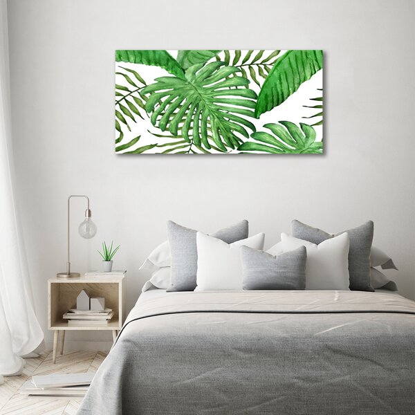 Moderní obraz canvas na rámu Tropické listí oc-88986198