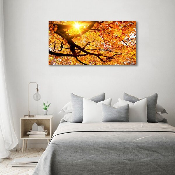 Moderní obraz canvas na rámu Koruna stromů podzim oc-89060594
