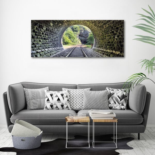 Foto obraz na plátně Železniční tunel oc-89174539