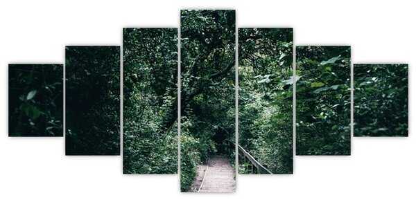 Obraz - Cesta lesem (210x100 cm)