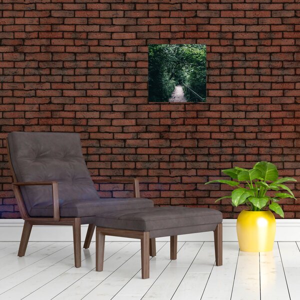 Obraz - Cesta lesem (30x30 cm)