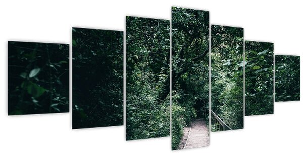 Obraz - Cesta lesem (210x100 cm)