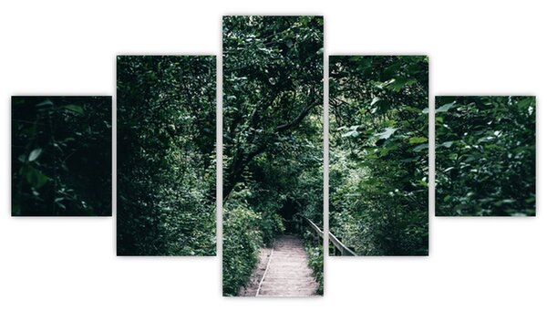 Obraz - Cesta lesem (125x70 cm)