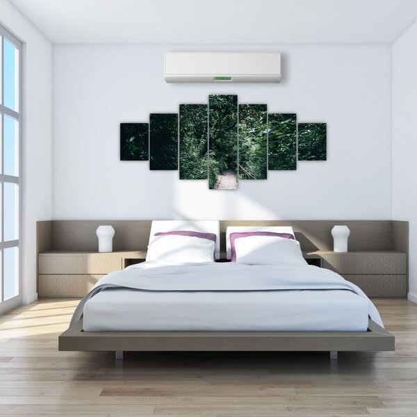 Obraz - Cesta lesem (210x100 cm)