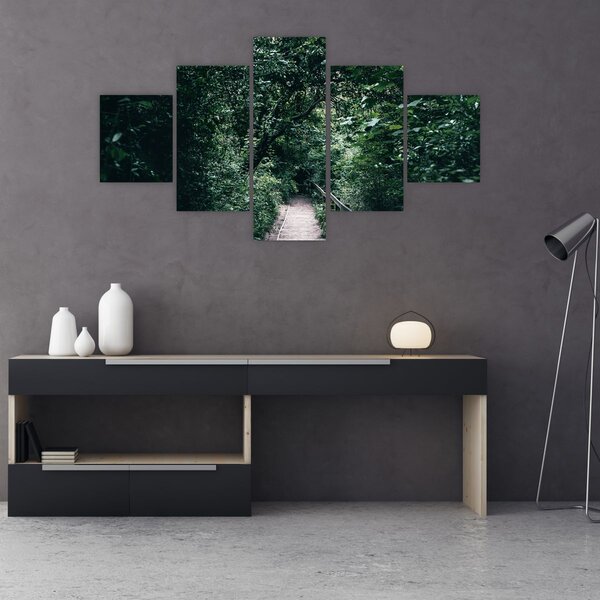 Obraz - Cesta lesem (125x70 cm)
