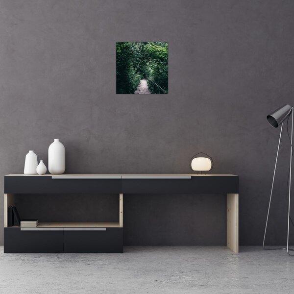 Obraz - Cesta lesem (30x30 cm)