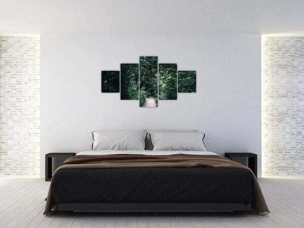 Obraz - Cesta lesem (125x70 cm)