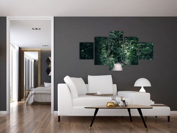 Obraz - Cesta lesem (125x70 cm)
