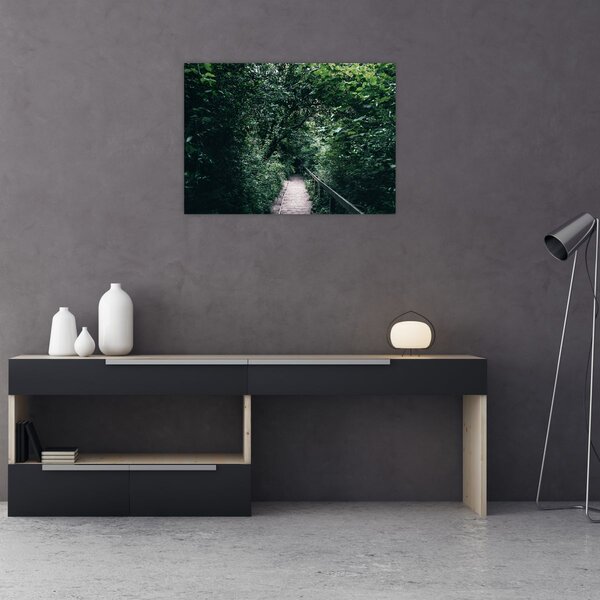 Obraz - Cesta lesem (70x50 cm)