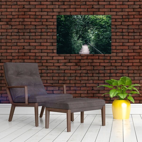 Obraz - Cesta lesem (70x50 cm)