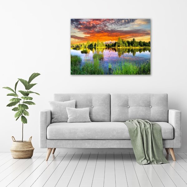 Moderní fotoobraz canvas na rámu Řeka v lese oc-89317009