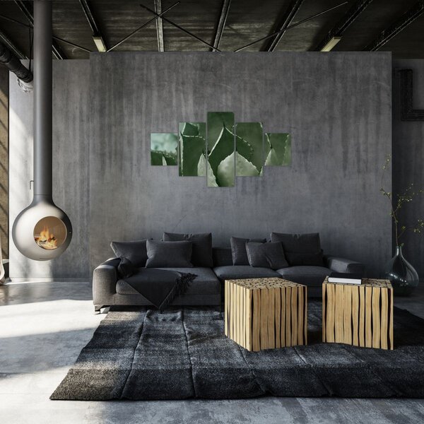 Obraz - Zelená agáve (125x70 cm)