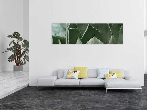 Obraz - Zelená agáve (170x50 cm)