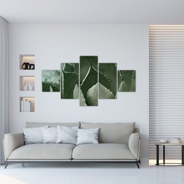 Obraz - Zelená agáve (125x70 cm)