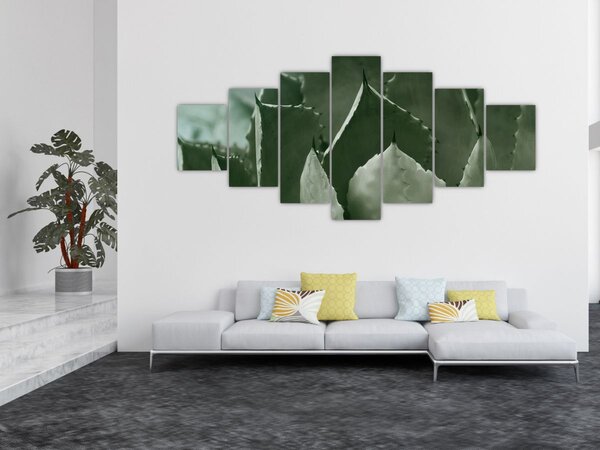 Obraz - Zelená agáve (210x100 cm)