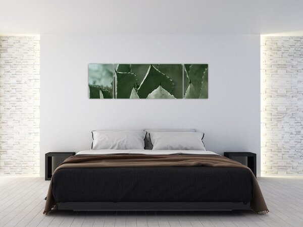 Obraz - Zelená agáve (170x50 cm)