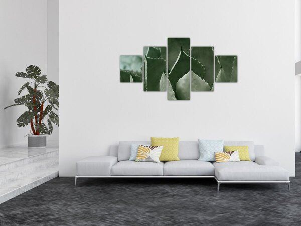 Obraz - Zelená agáve (125x70 cm)