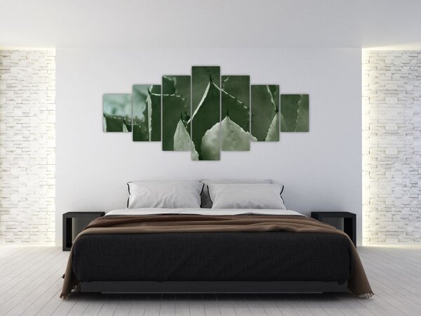 Obraz - Zelená agáve (210x100 cm)