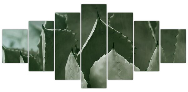 Obraz - Zelená agáve (210x100 cm)