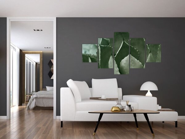 Obraz - Zelená agáve (125x70 cm)