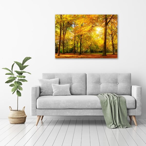 Foto obraz canvas Podzimní les oc-89529230