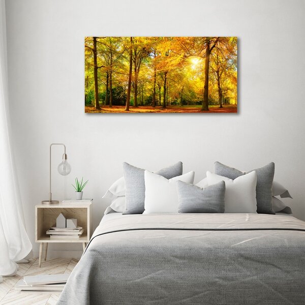 Foto obraz canvas Podzimní les oc-89529230