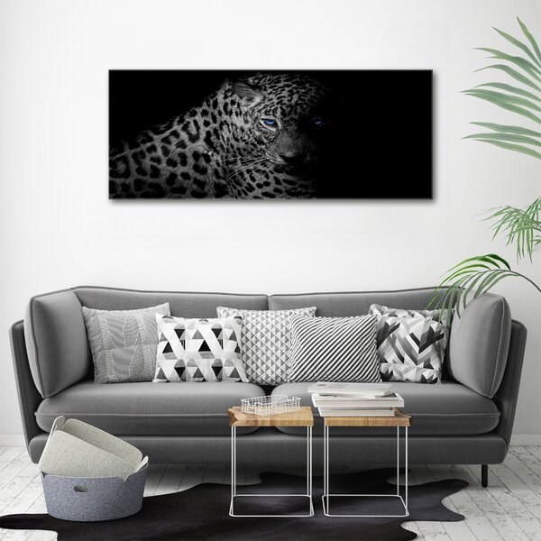 Foto obraz na plátně Leopard oc-89549218