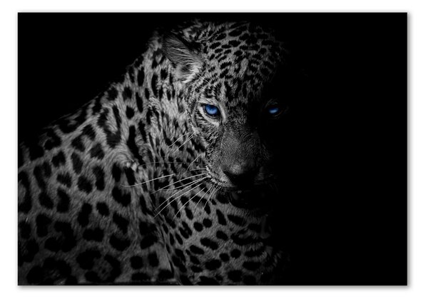 Fotoobraz na skle Leopard osh-89549218
