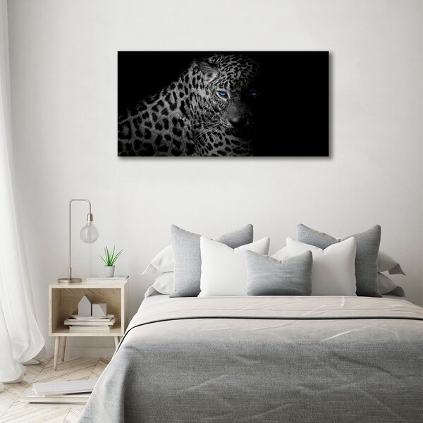 Foto obraz na plátně Leopard oc-89549218