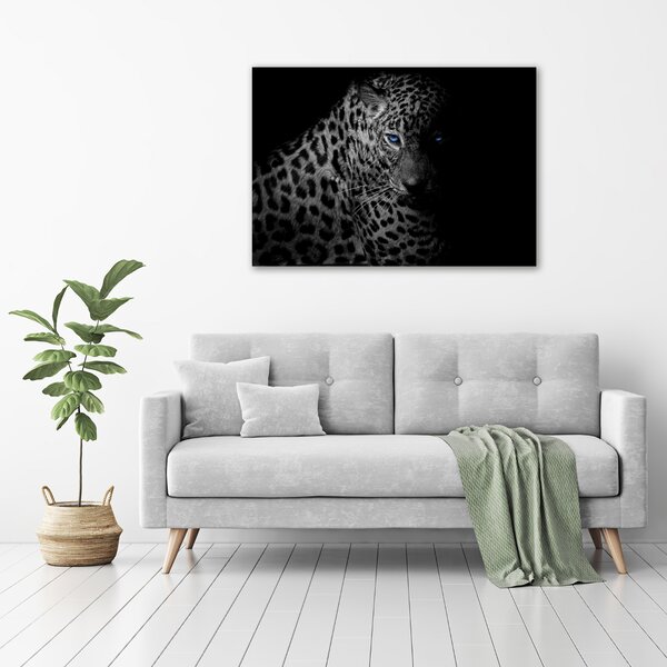 Foto obraz na plátně Leopard oc-89549218