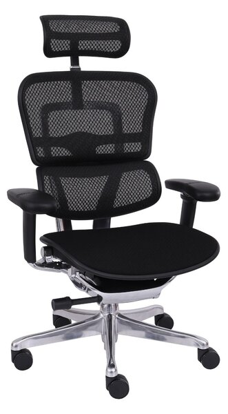 Kancelářská židle Ergohuman 2 Elite BT ST black