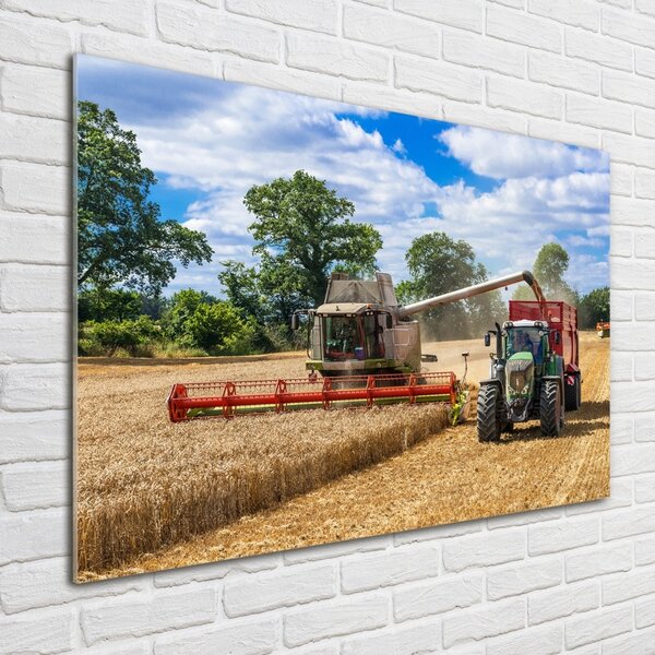 Foto obraz sklo tvrzené Kombajn a traktor osh-89579937