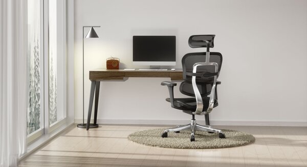 Kancelářská židle Ergohuman 2 Elite ST BS black