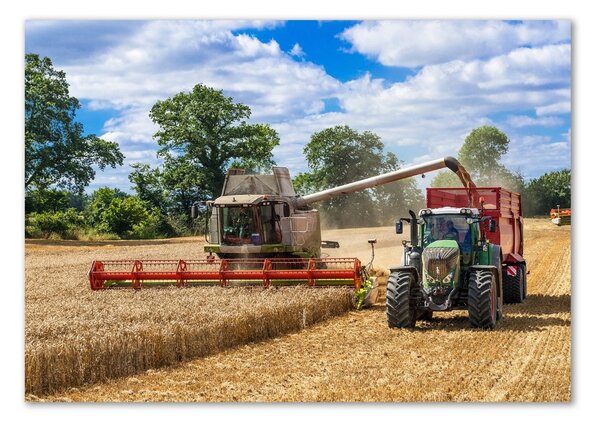Foto obraz sklo tvrzené Kombajn a traktor osh-89579937