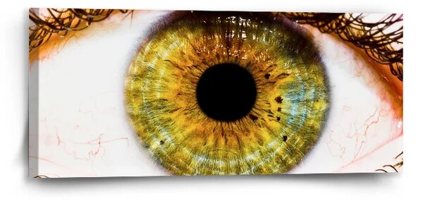 Sablio Obraz Oko - 110x50 cm